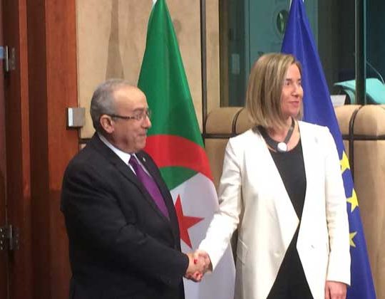 « L’asymétrie » Algérie-UE en chiffres sur dix ans : 14 milliards de dollars d’exportations hors hydrocarbures, 220 milliards d’importations