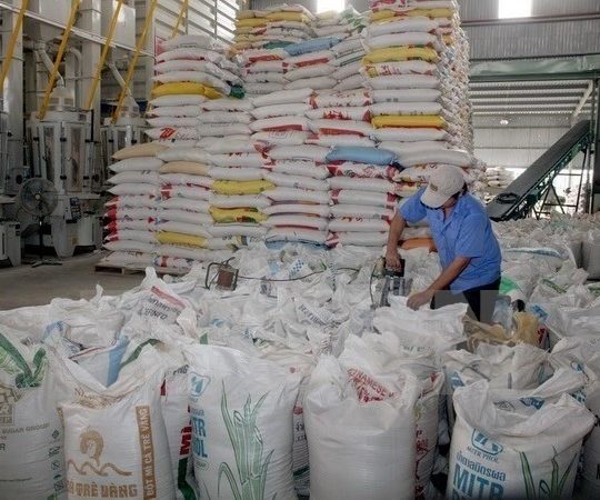 L’Algérie est devenue le deuxième importateur du Vietnam en Afrique