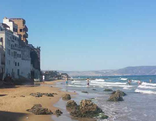 Algérie: Mort « inquiétante » de mérous sur les côtes de la corniche oranaise