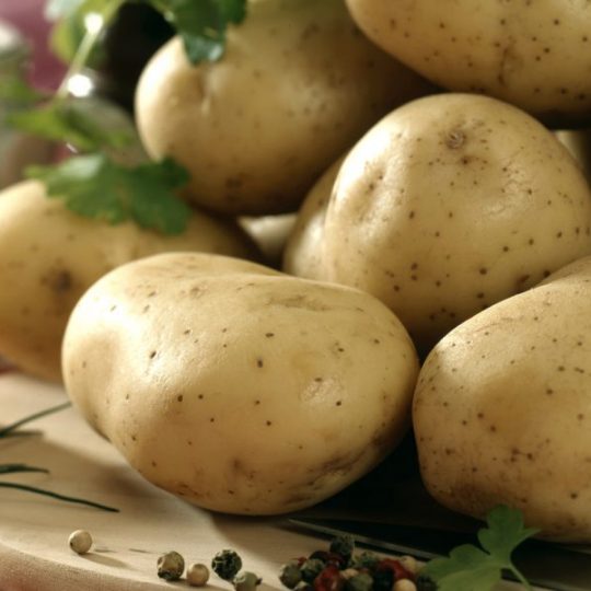 Image pomme de terre