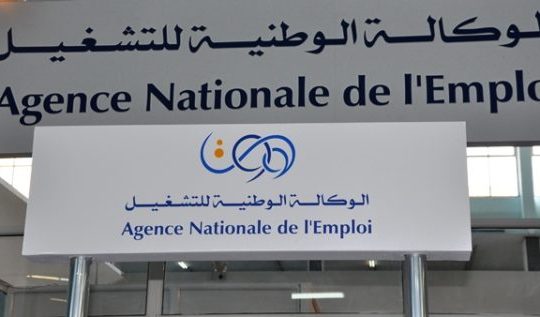 Algérie : 1,5 million de personnes se sont inscrites à l’ANEM en 2018