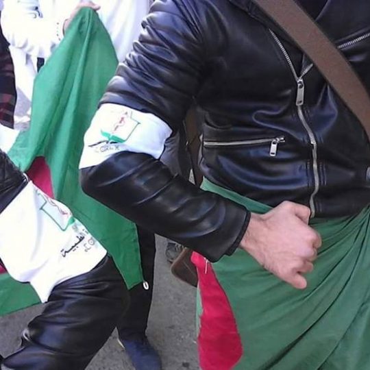 Manifestations du 8 mars, place aux « Brassards verts »