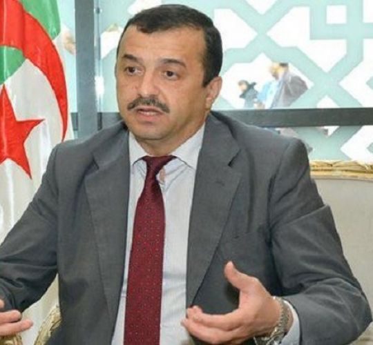 Pétrochimie: « certains mégas-projets accusent un retard en raison de leur nature complexe » (Arkab)