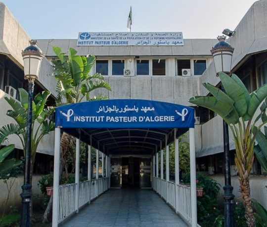 Variant Covid-19 en Algérie : l’institut pasteur n’a pas encore remis son rapport