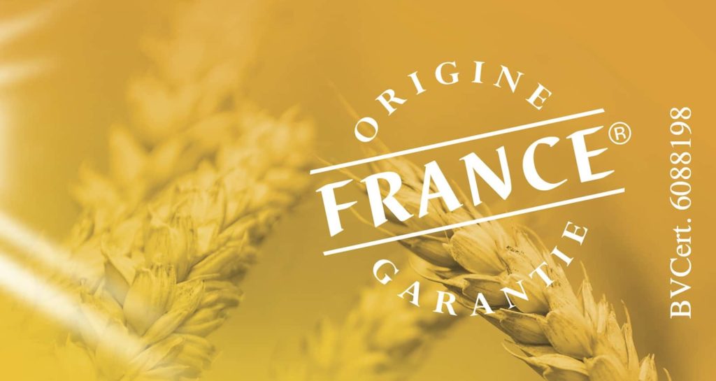 Nouveau tender de l’Algérie pour l’achat de blé : plutôt origine française ou russe ?