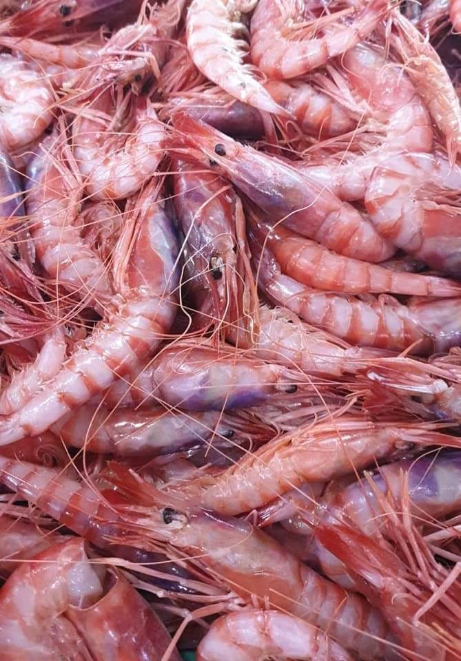 Poisson : à moins de 2000DA/KG, les crustacés à l’honneur au marché de Cherchell